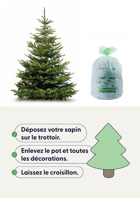 Collecte des sapins : la saison est ouverte !