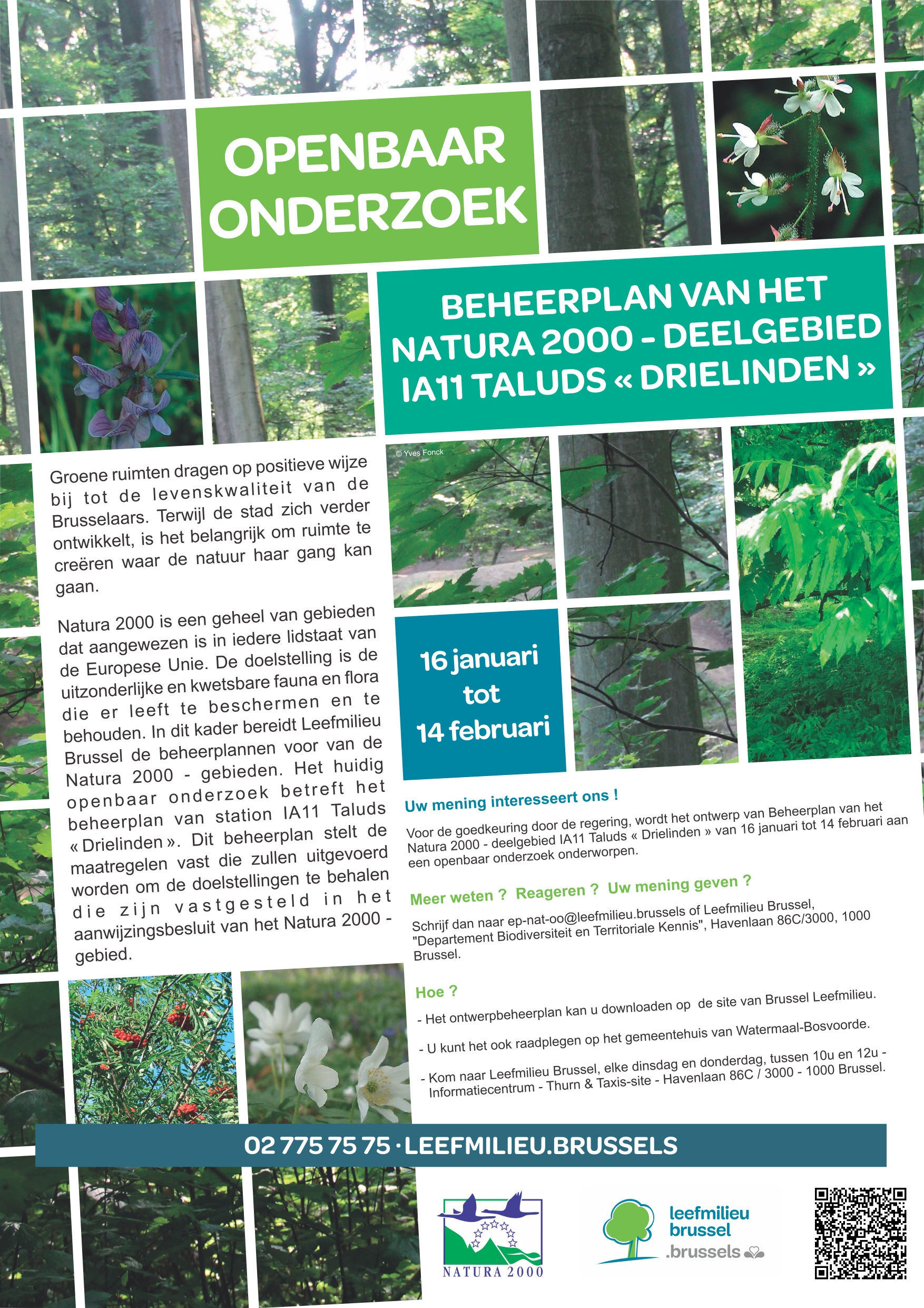 Affiche 3 tilleuls NL_page-0001.jpg